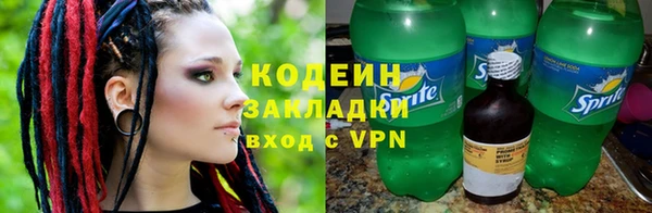шишки Белокуриха