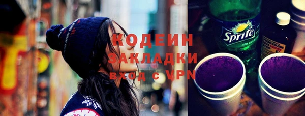 шишки Белокуриха
