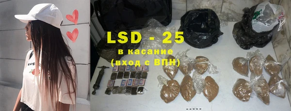 шишки Белокуриха