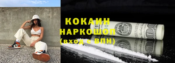 шишки Белокуриха