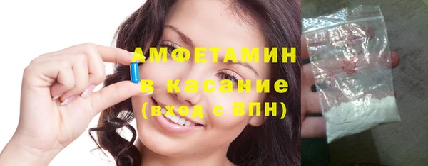 шишки Белокуриха