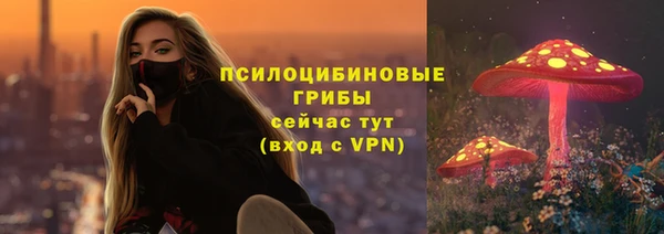 гидра Беломорск