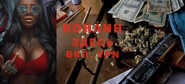 шишки Белокуриха