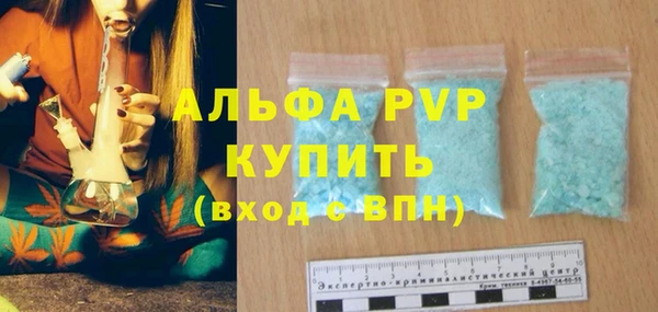 шишки Белокуриха