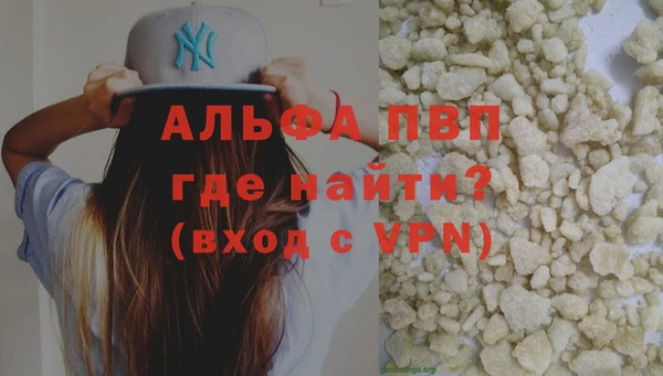 шишки Белокуриха